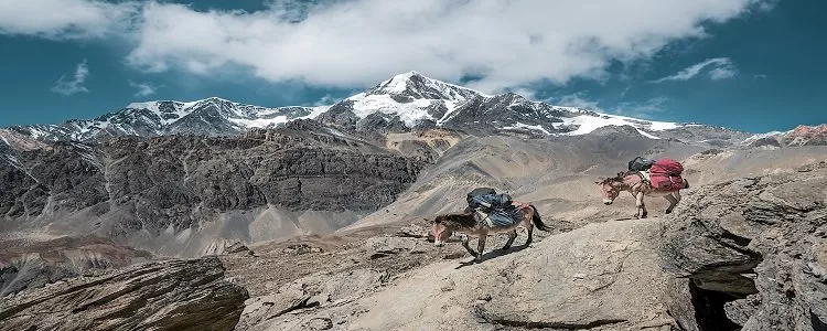 Nepal