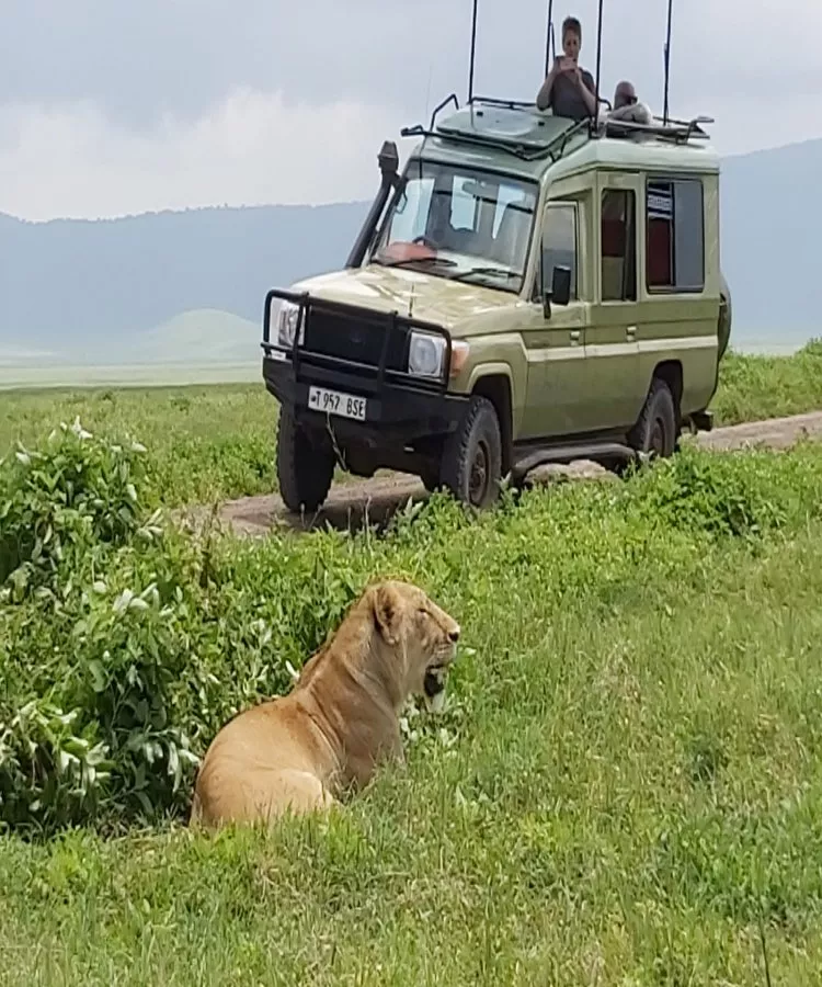 Tanzania și Zanzibar
