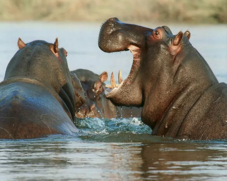 Namibia