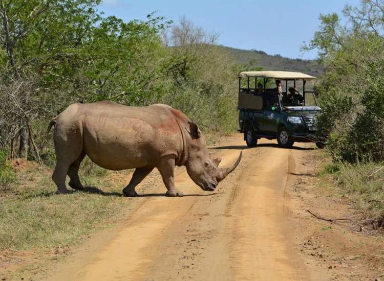 Safari in Namibia