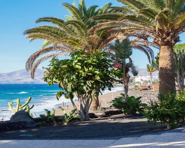 Lanzarote - O insulă în Atlantic