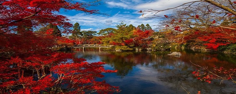 Japonia Magia Naturii & Coreea de Sud