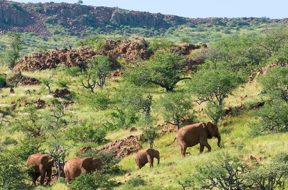 Damaraland
